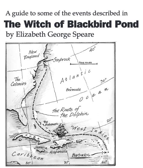 The Witch of Blackbird Pond: A Study Guide with Sparknotes